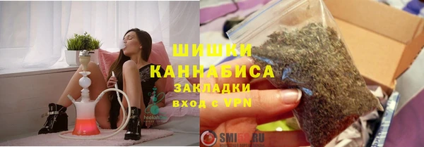 мет Няндома