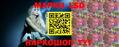 ECSTASY Новодвинск