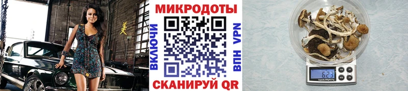 Галлюциногенные грибы мухоморы  магазин продажи   Татарск 