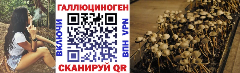 Псилоцибиновые грибы мухоморы Татарск
