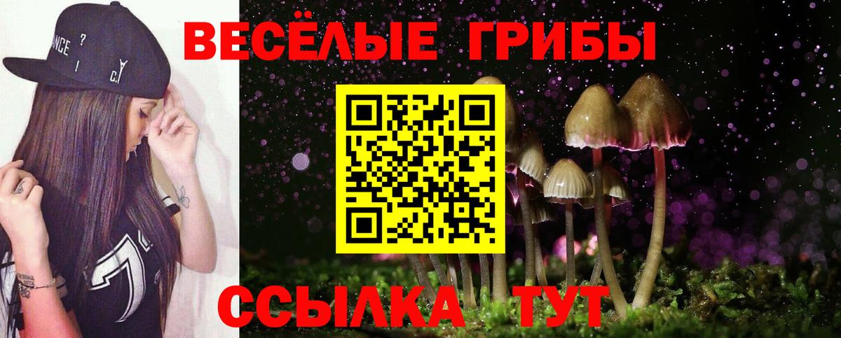 Псилоцибиновые грибы Psilocybine cubensis Татарск